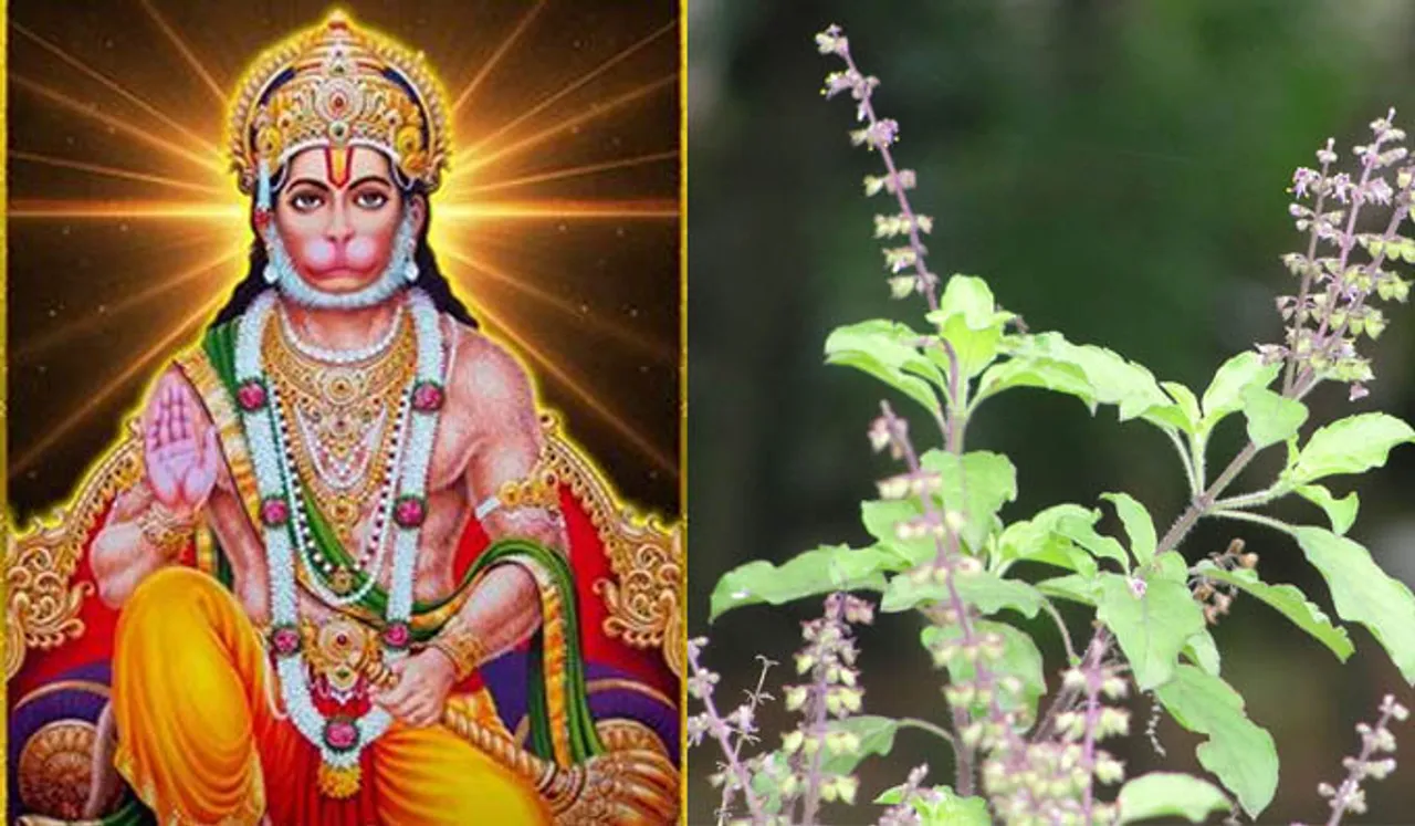 ഹനുമത്പാദങ്ങളില്‍ തുളസി സമര്‍പ്പിക്കരുത്