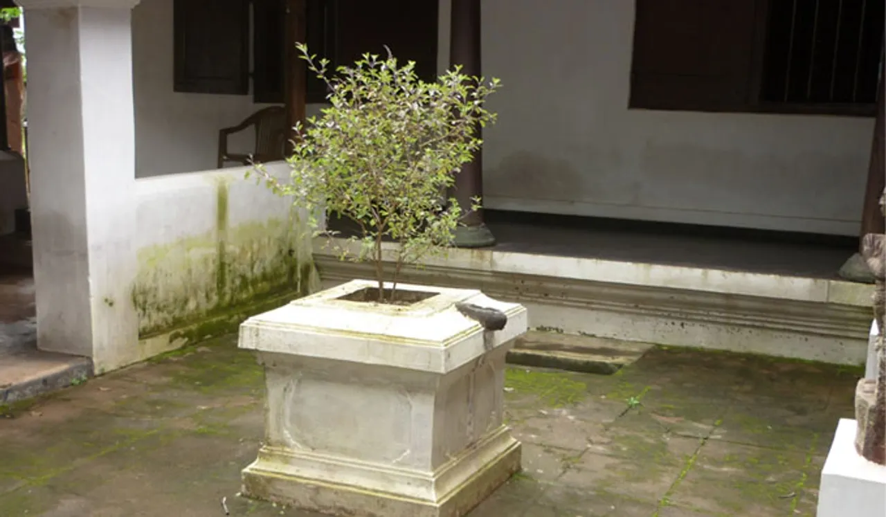 തുളസി ഐശ്വര്യവും ആരോഗ്യവും നല്‍കും