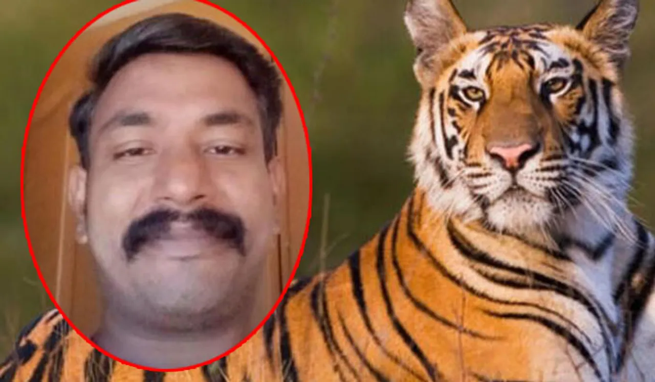 പ്രതിഷേധവുമായി ജനം; വയനാട്ടിലെ നരഭോജി കടുവയെ വെടിവച്ചുകൊല്ലാന്‍ ഉത്തരവ്