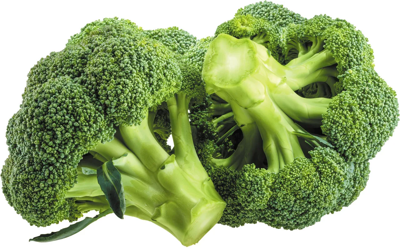  BROCCOLI