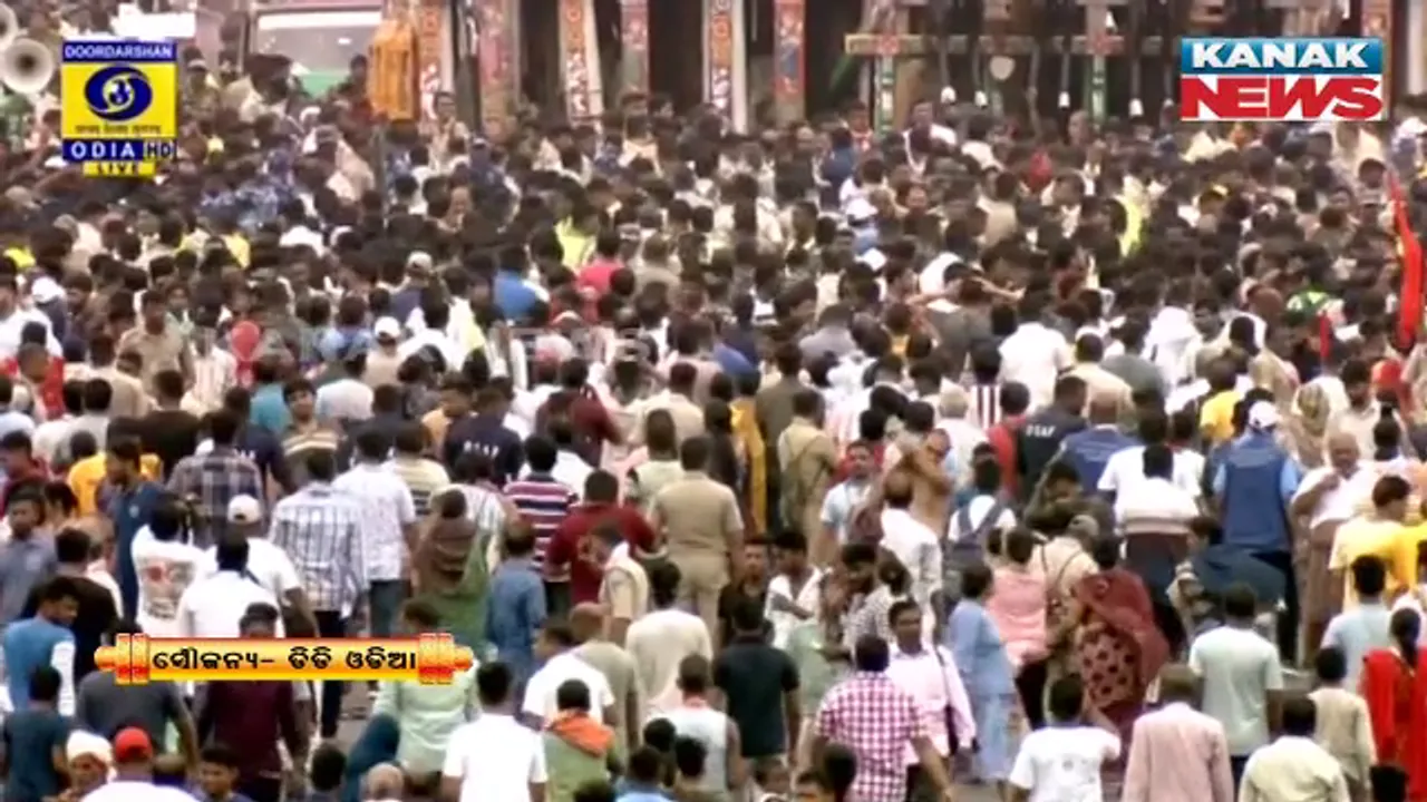 crowd