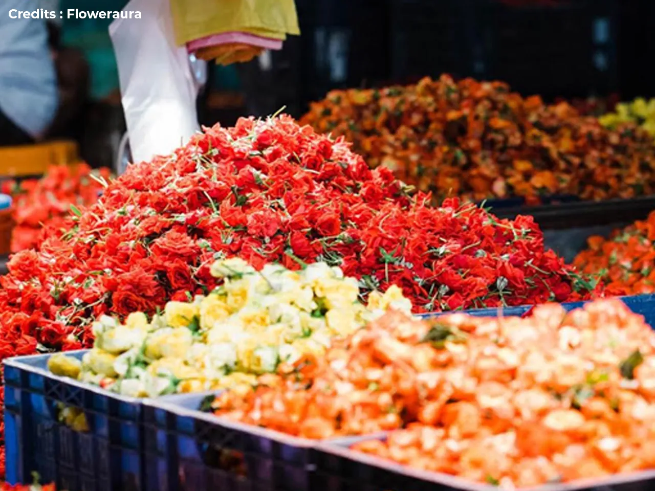Flower Market 