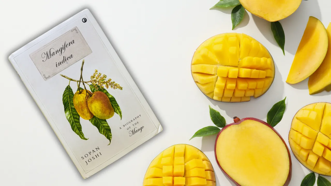 Mangifera Indica Book 