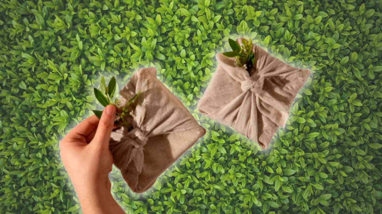 Sustainable Packaging