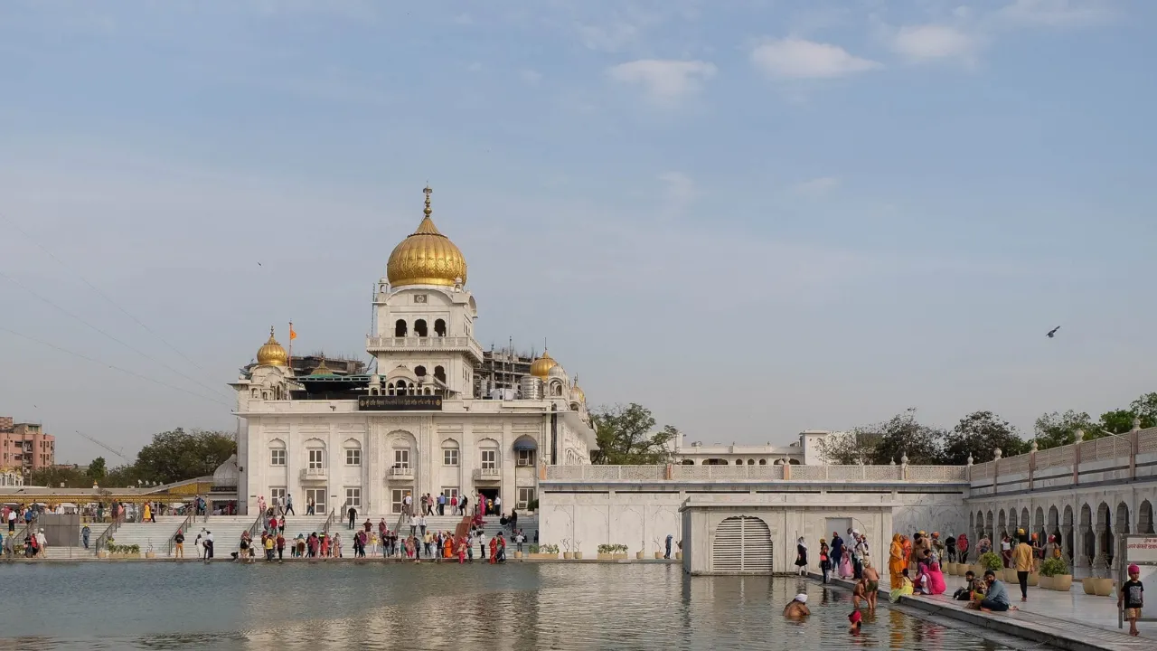 Copy of Local Samosa FI
