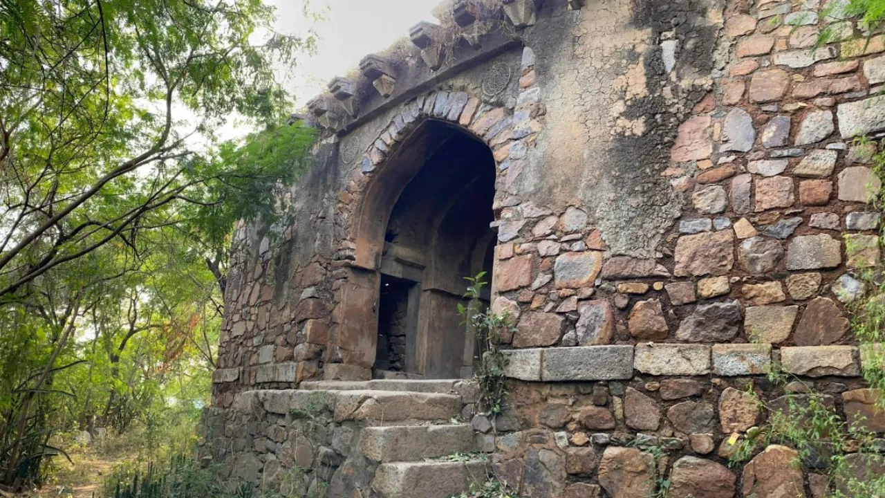 Copy of Local Samosa FI - 3