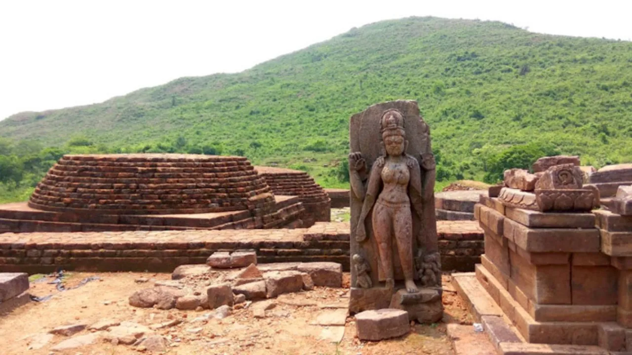 Copy of Local Samosa FI - 1