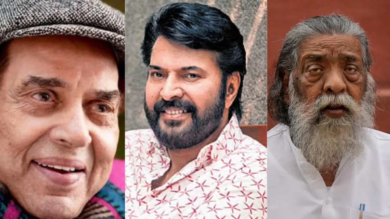 Copy of Local Samosa FI - 37