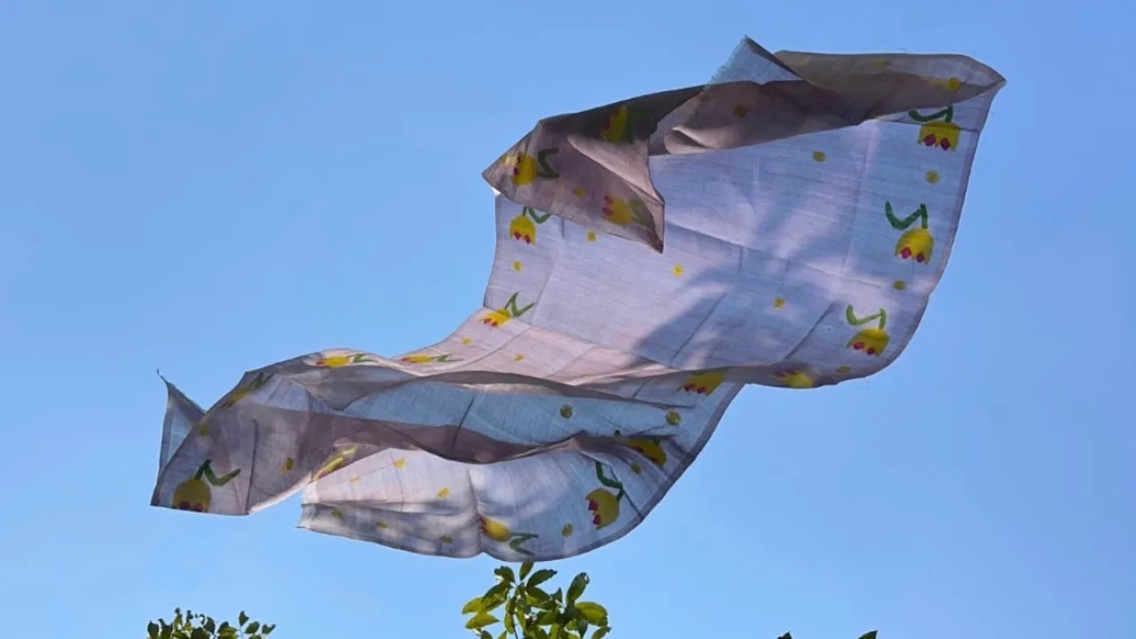 Copy of Local Samosa FI - 8