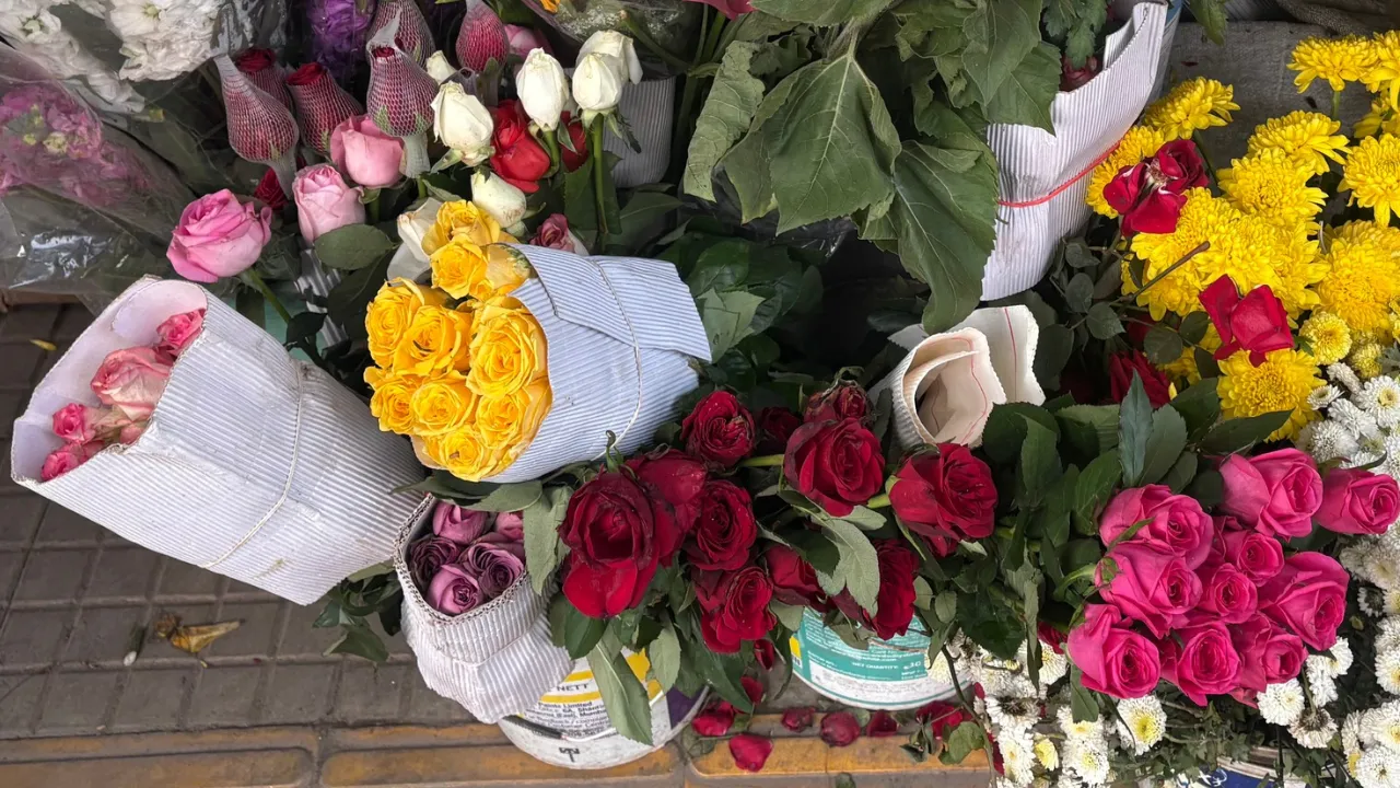 Copy of Copy of Local Samosa FI - 1