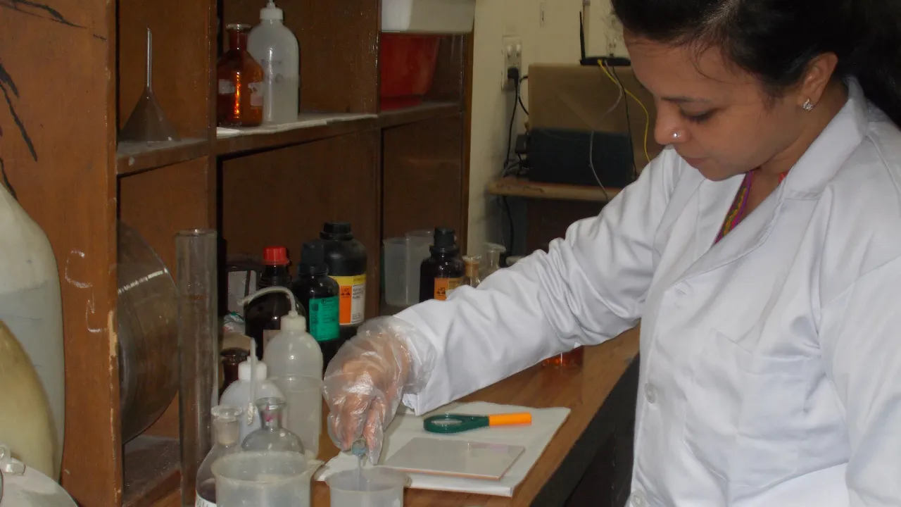 Copy of Local Samosa FI - 2