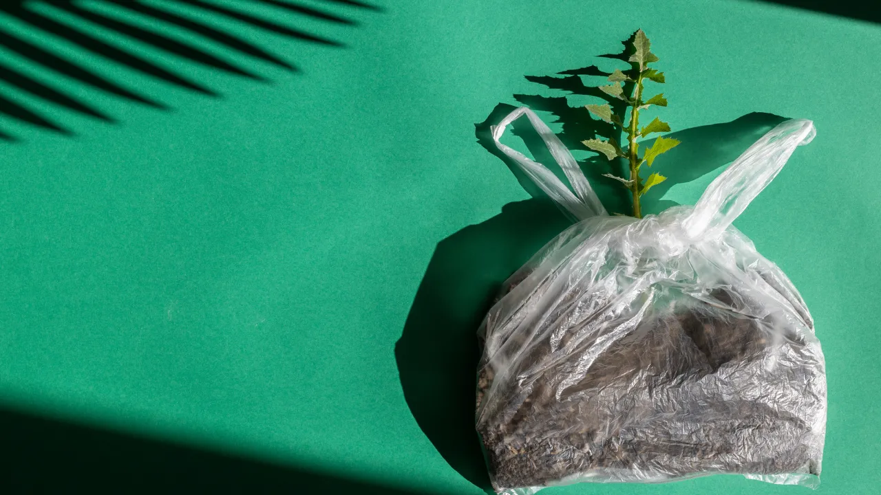 Eco-Friendly, Biodegradable & Compostable Bags