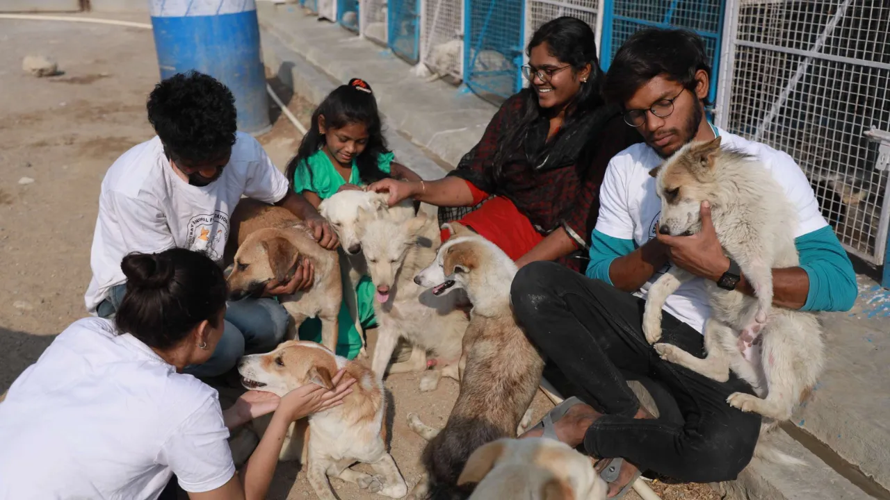 Sanjay Gandhi Animal Care Centre