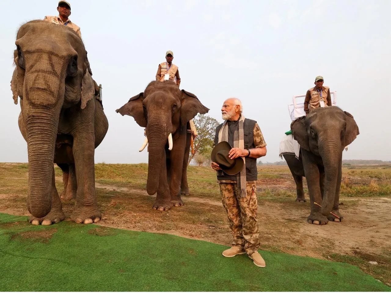 kaziranga national park