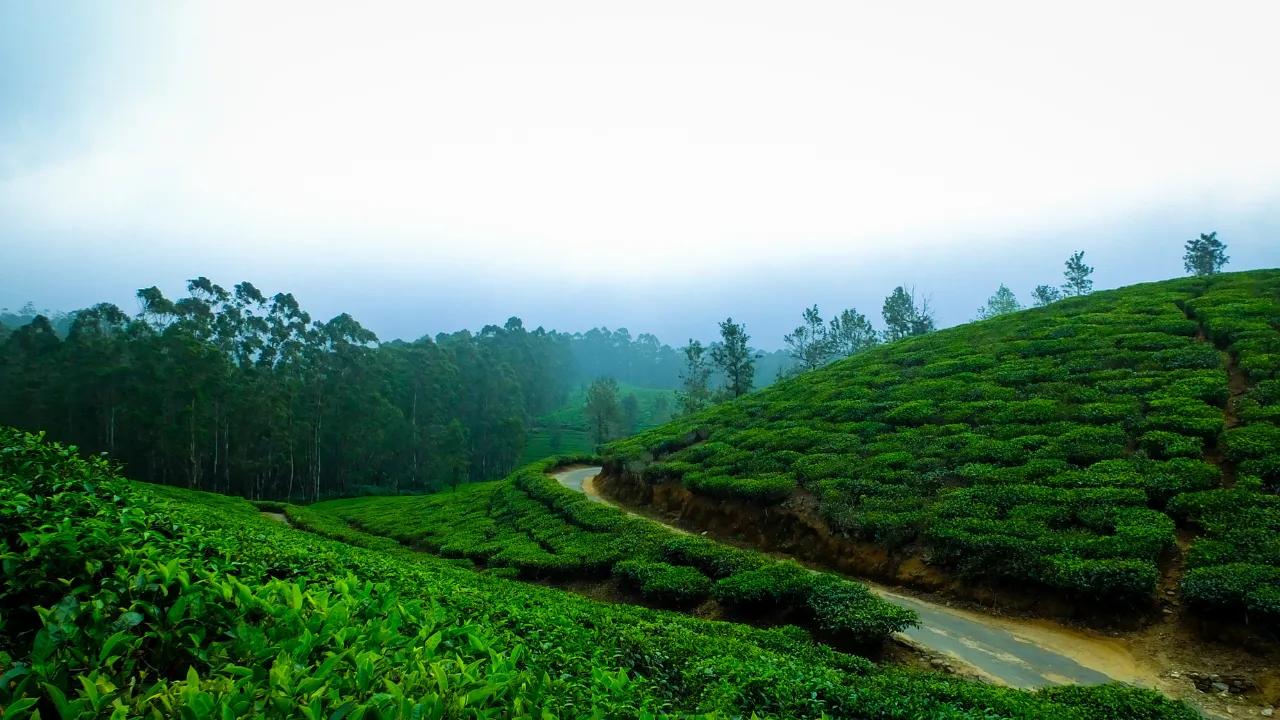 Mmonsoon destinations in kerala