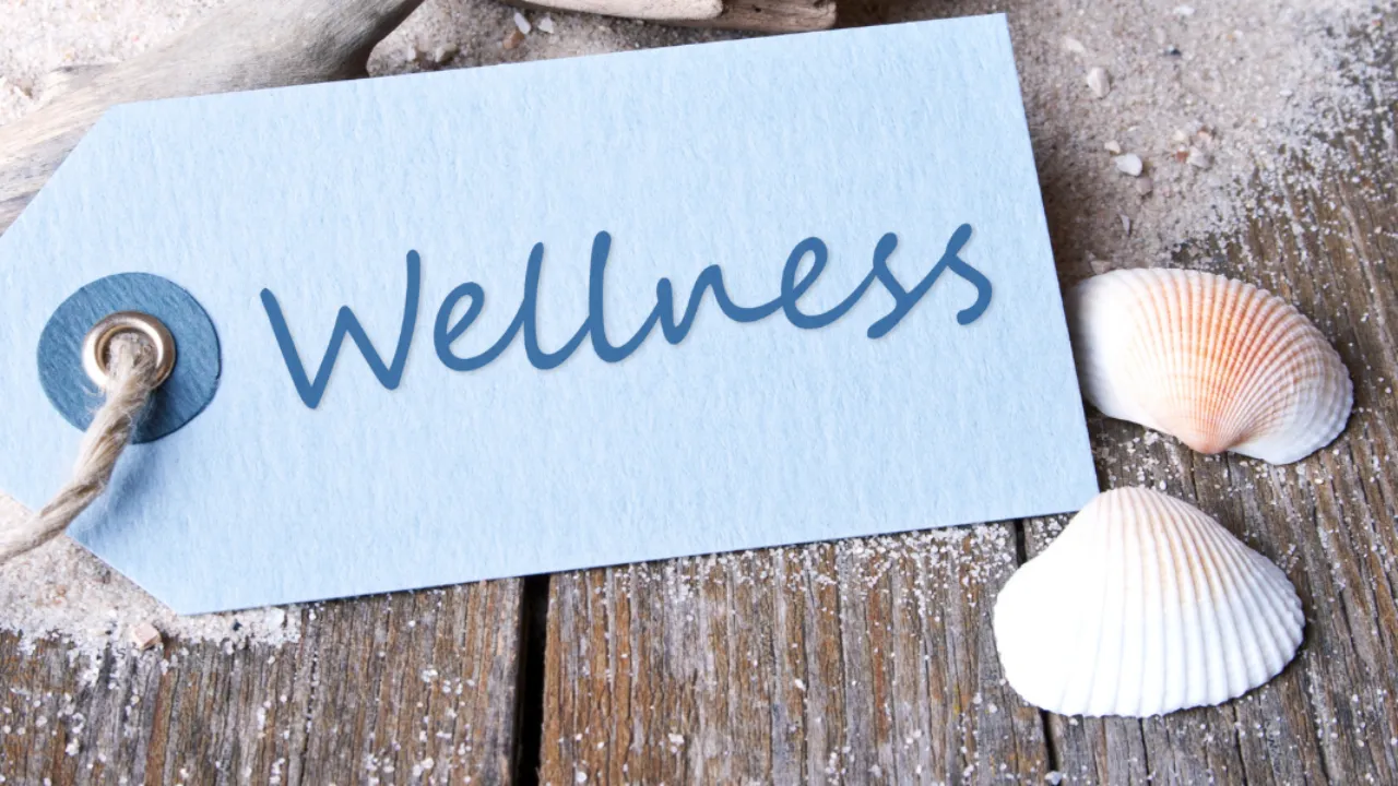 wellness brands : We have curated a list of homegrown brands that are offering a range of wellness products we didnt know we needed, so scroll down to know more about them.