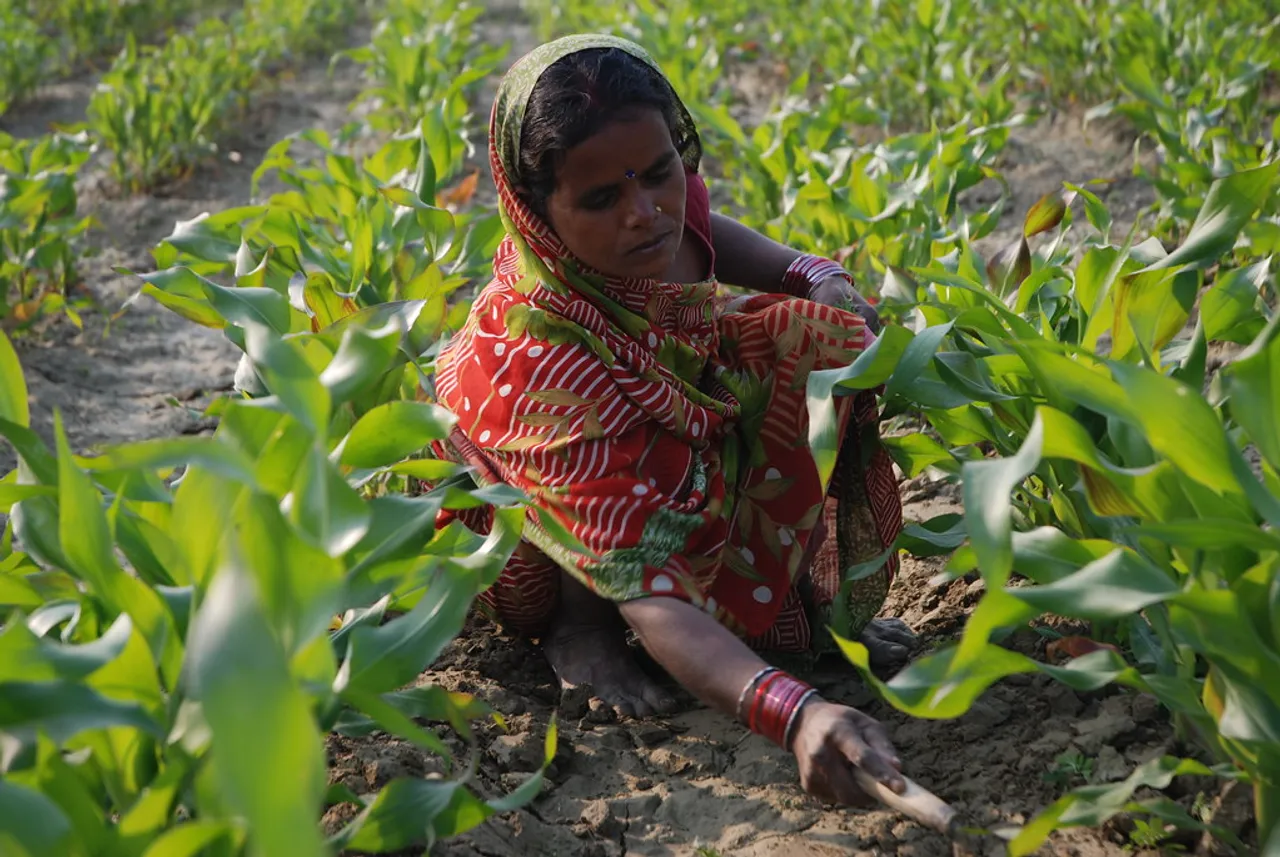 Kisan Divas