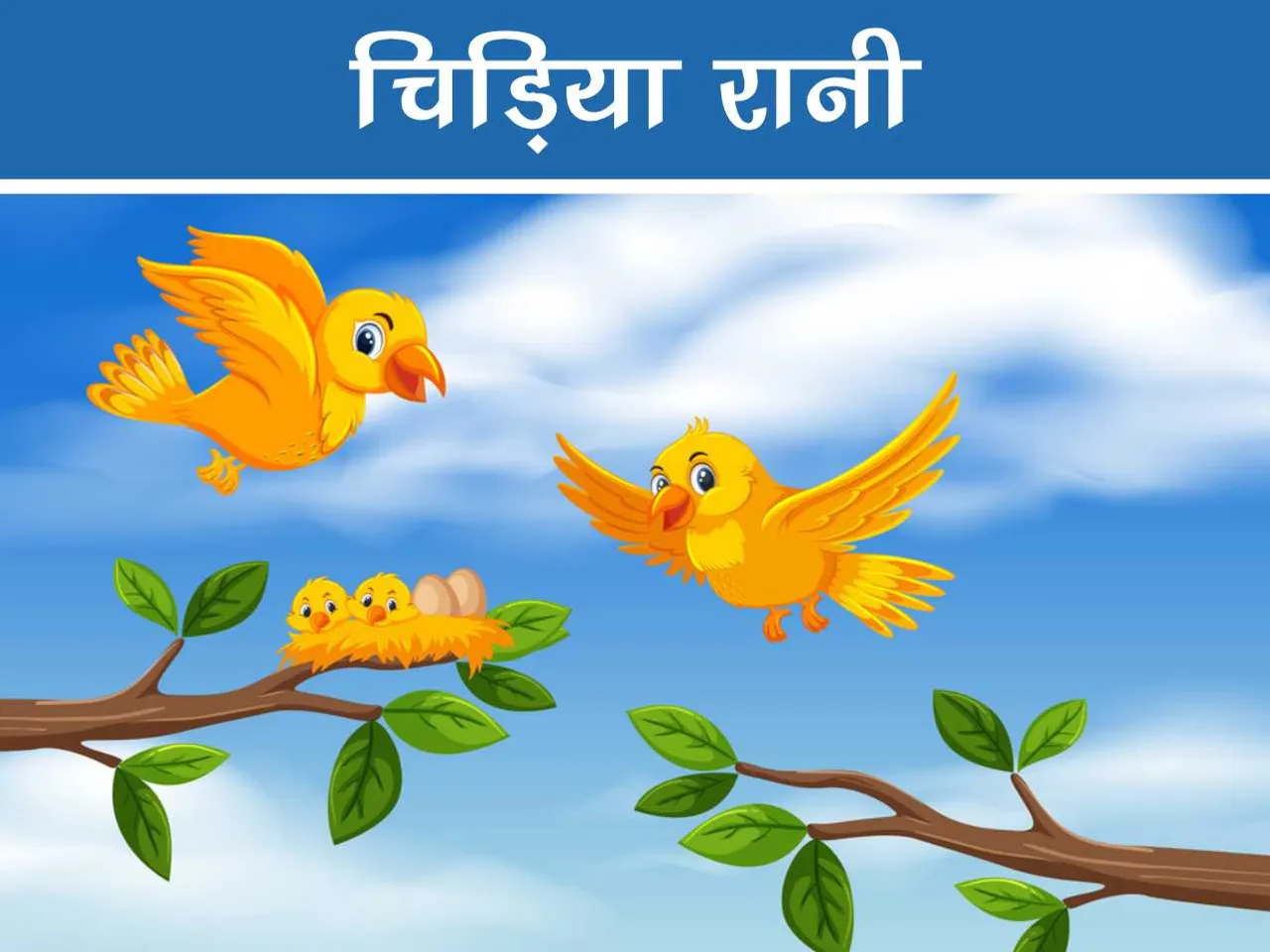 Birds cartoon image