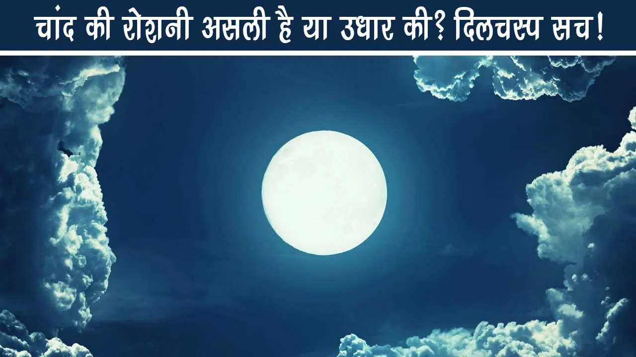 Is the moonlight real or borrowed? Interesting truth!