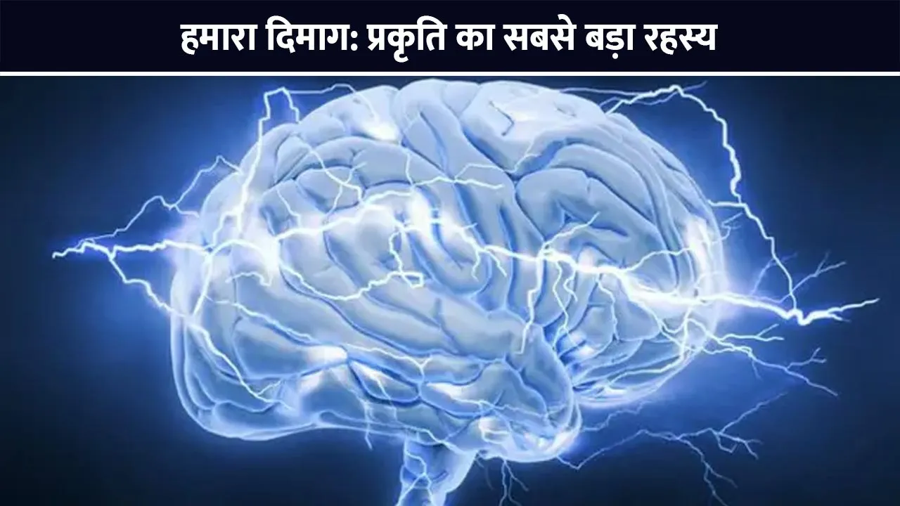 hamara-dimag-nature-ka-rahasya