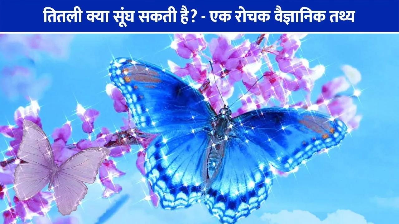 KYA-TITLI-SUNGH-SAKTI-HAI