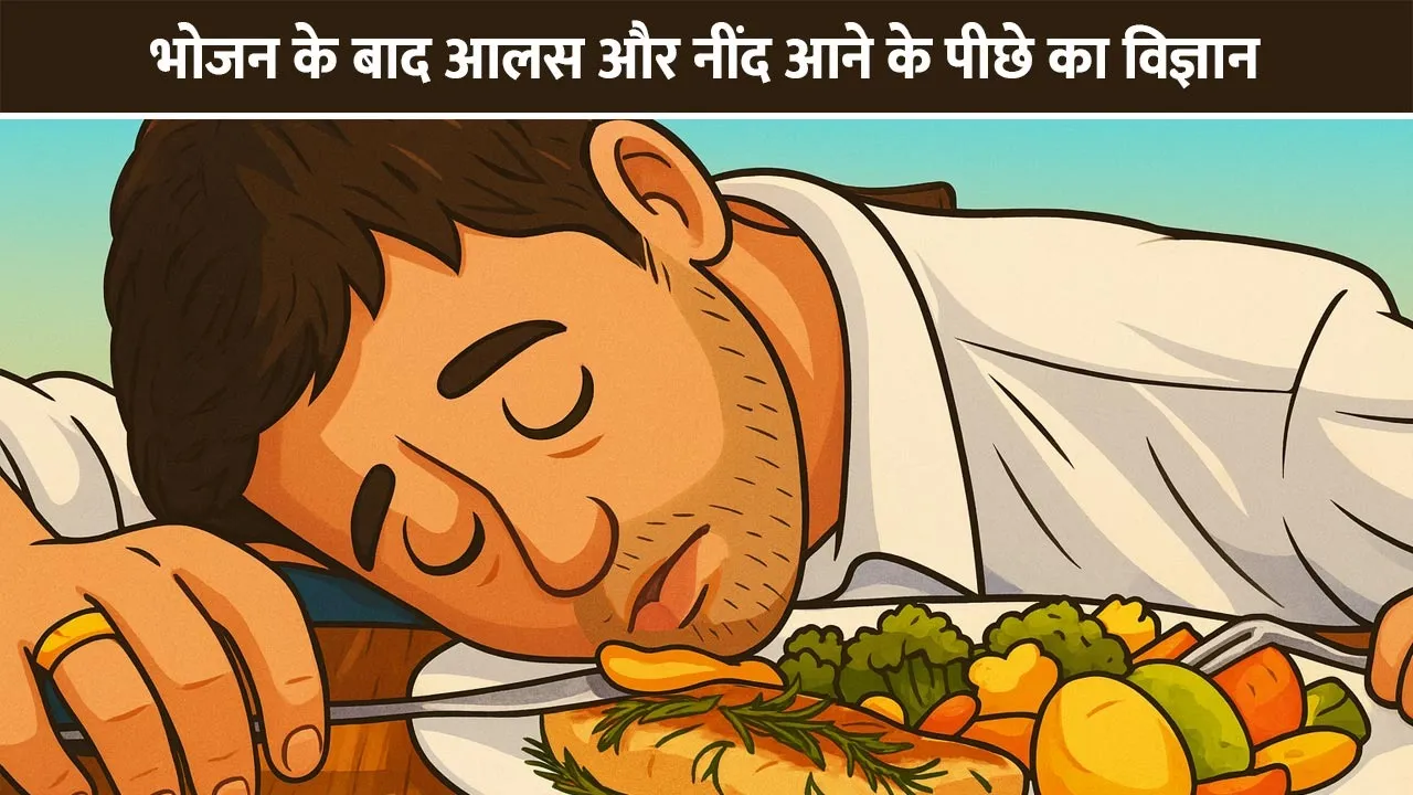 Laziness-after-meals-and-science-behind-sleep