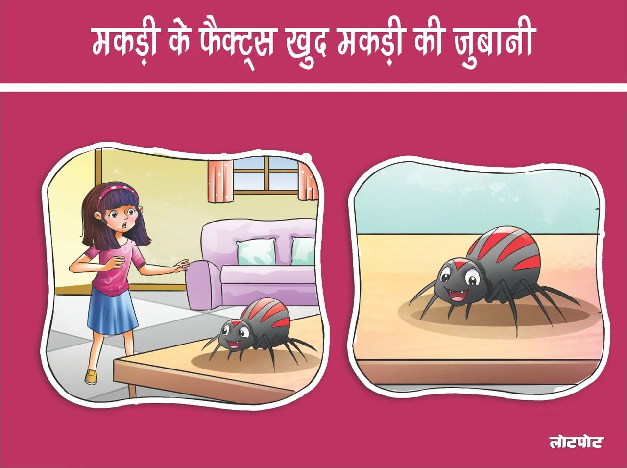 Know the facts about spiders in the words of the spider itself