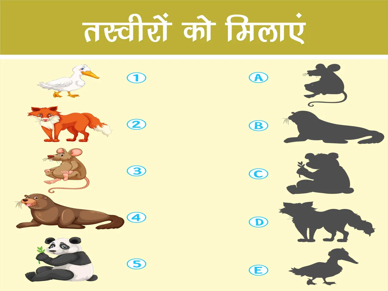 Match the following