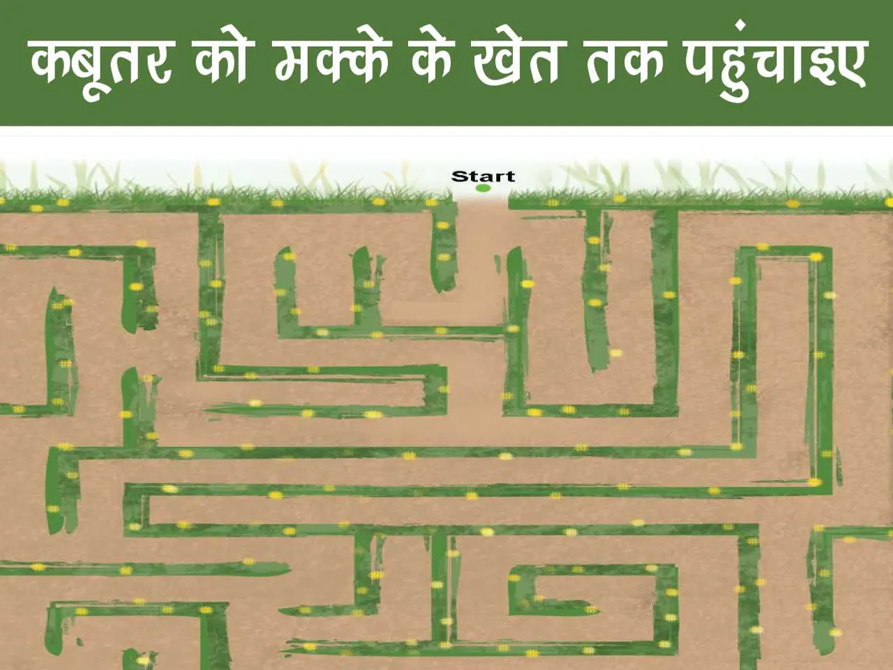 Maze puzzle