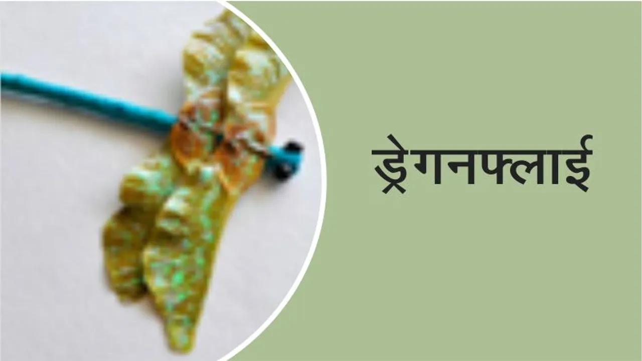 Craft Time: How to Make Real Dragonfly Kites