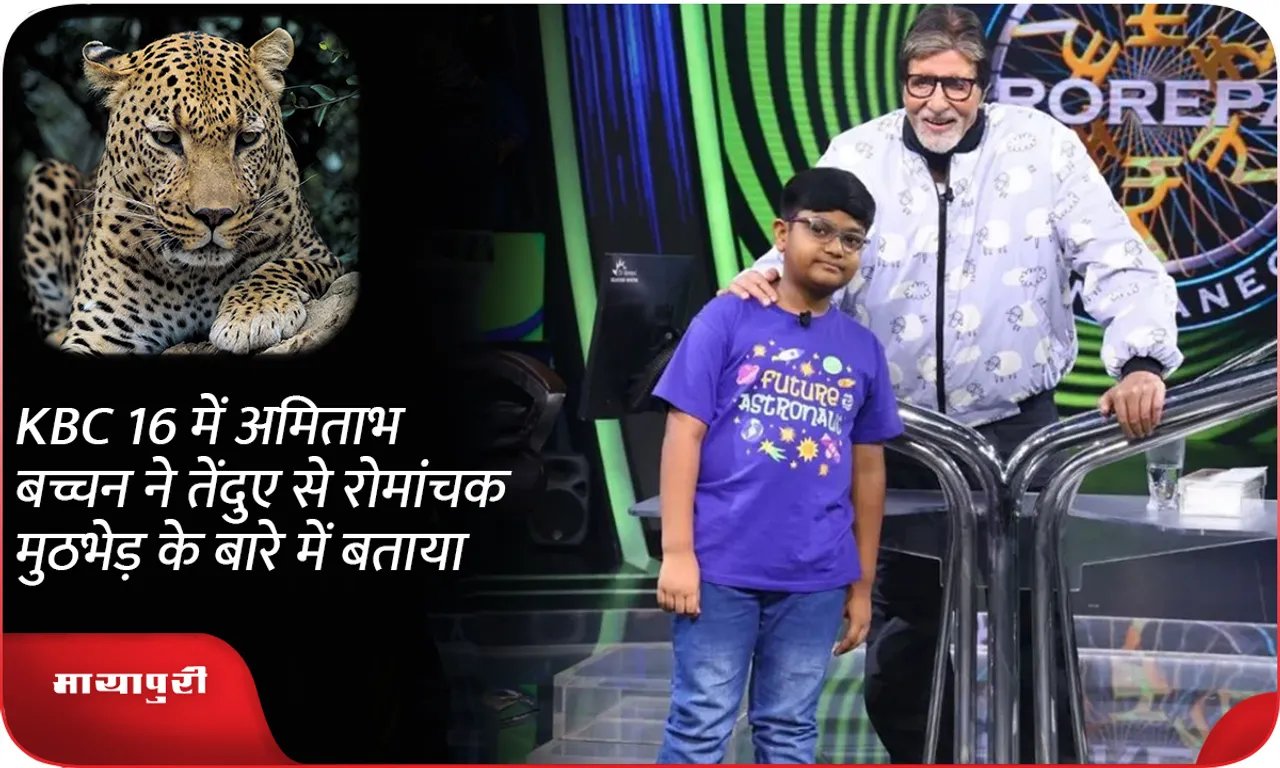 KBC 16 में अमिताभ बच्चन ने तेंदुए से रोमांचक मुठभेड़ के बारे में बताया