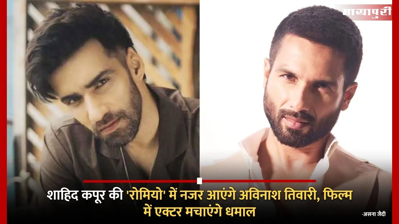 Avinash Tiwary joins Shahid Kapoor film Romeo