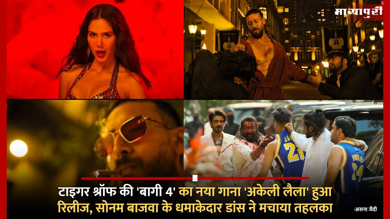 Baaghi 4 New Song Akeli Laila Out