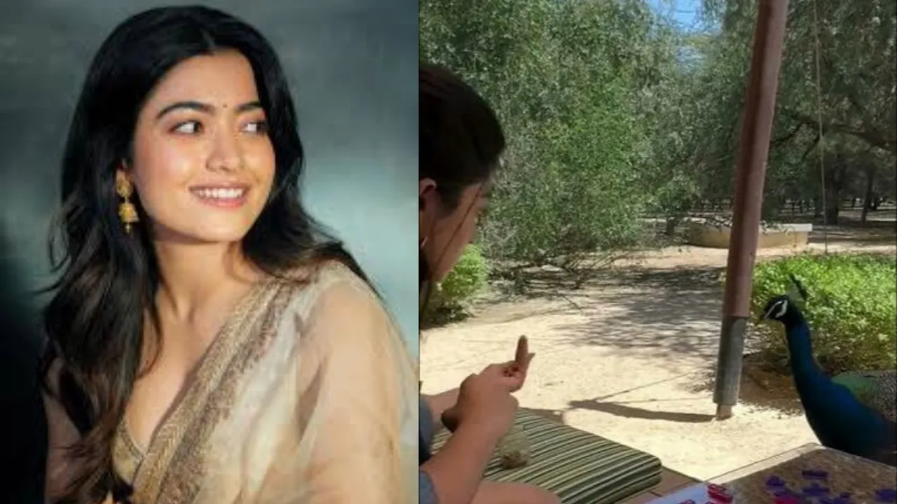 rashimika