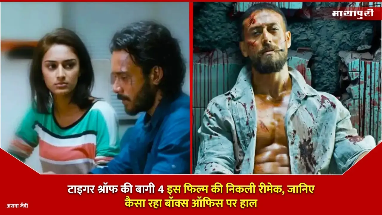 baaghi 4 is remake of which movie