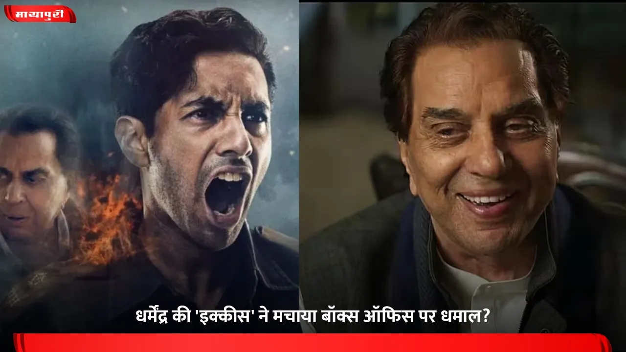 Ikkis Box Office Collection