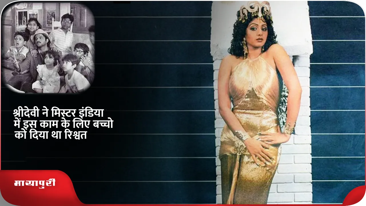 shri devi मिस्टर .png
