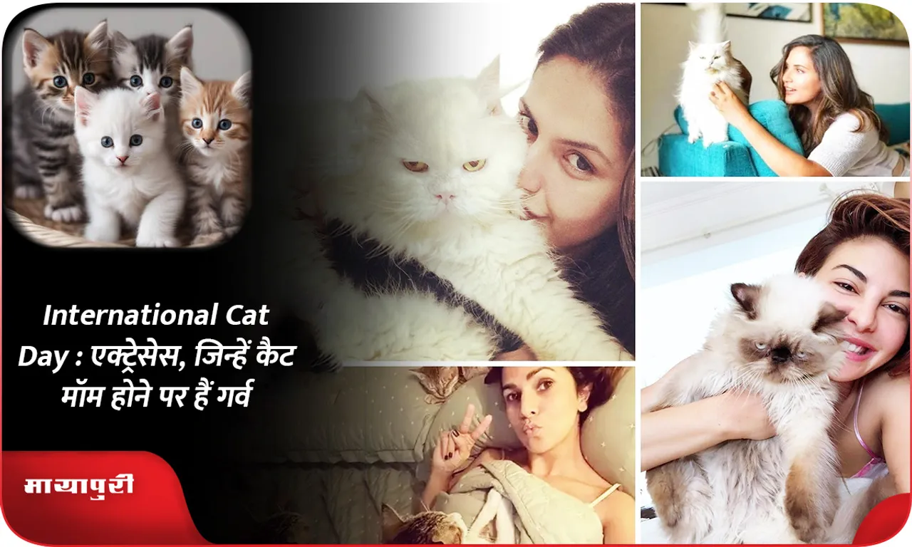 International Cat Day  एक्ट्रेसेस, जिन्हें कैट मॉम होने पर हैं गर्व
