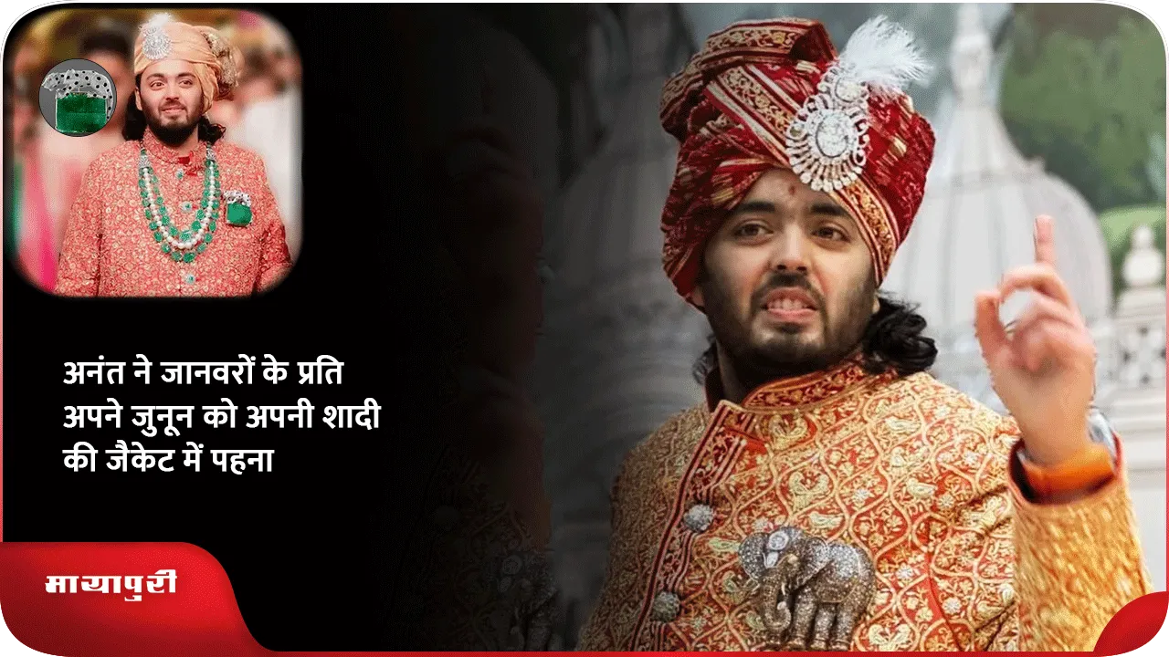 अनंत ने जानवरों के प्रति अपने जुनून को अपनी शादी की जैकेट में पहना