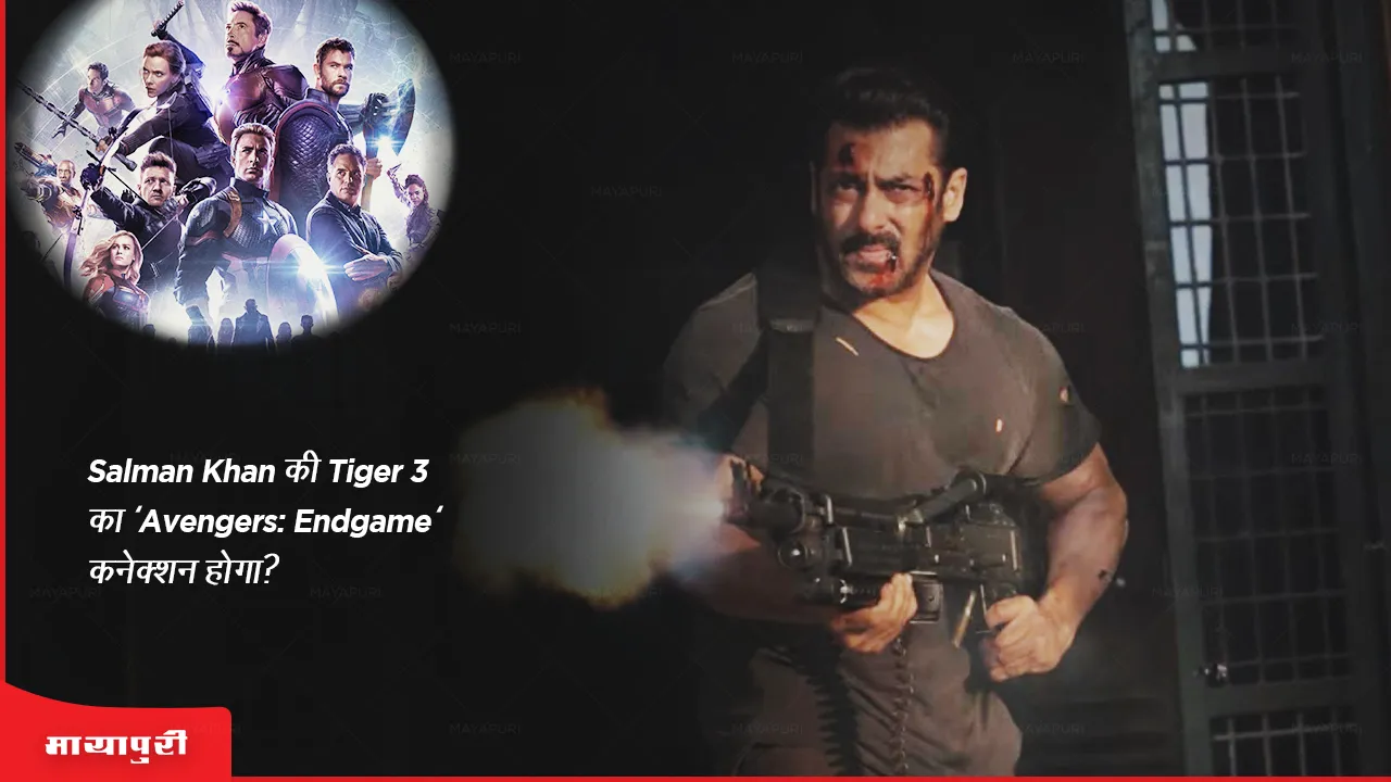 Will Salman Khan Tiger 3 Have An Avengers Endgame Connection