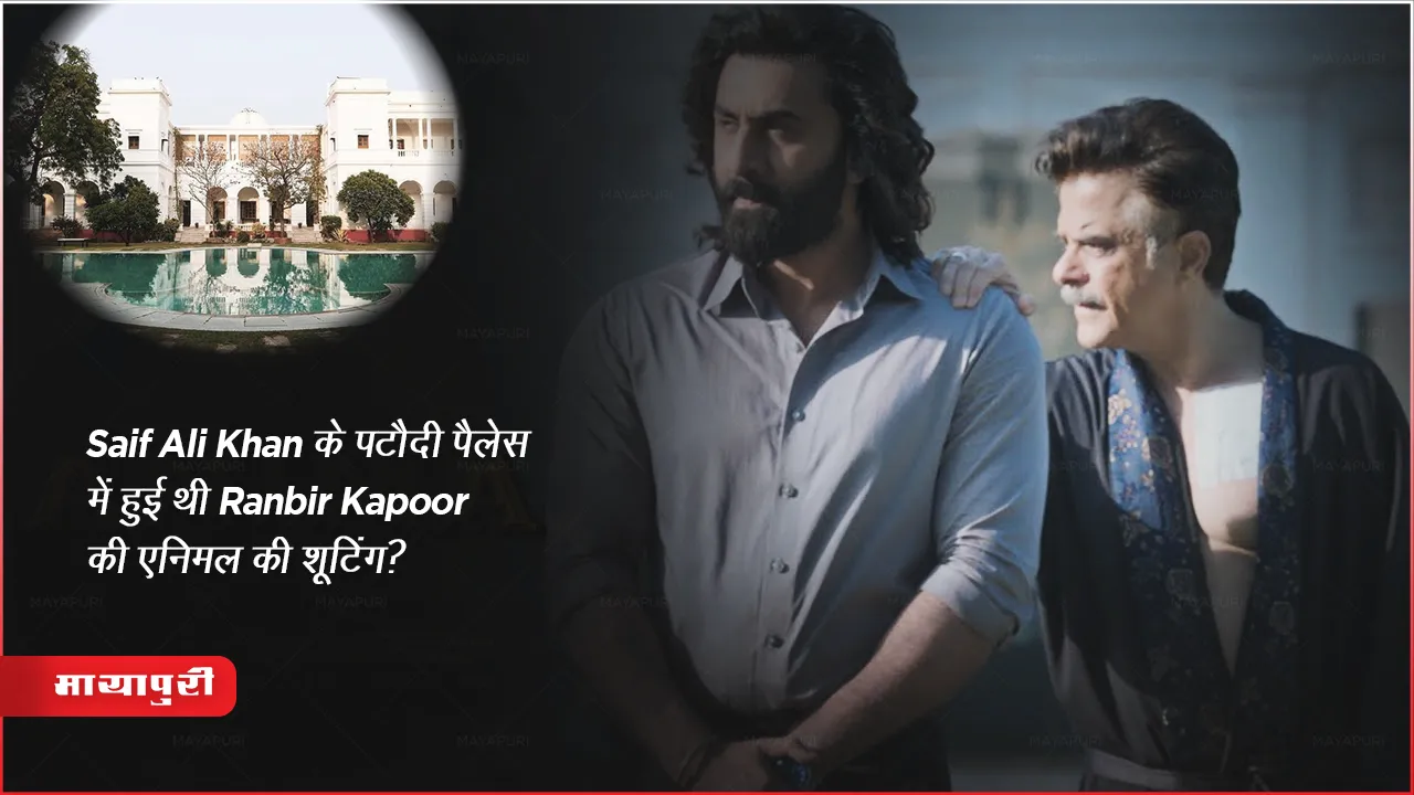Saif Ali Khan के पटौदी पैलेस में हुई थी Ranbir Kapoor की एनिमल की शूटिंग?