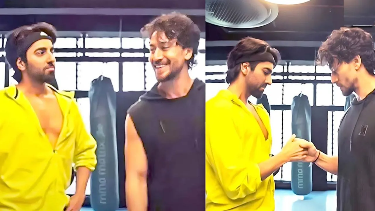 who_is_the_biggest_action_hero_between_ayushmann_khurrana_and_tiger_shroff_see_here_mayapuri