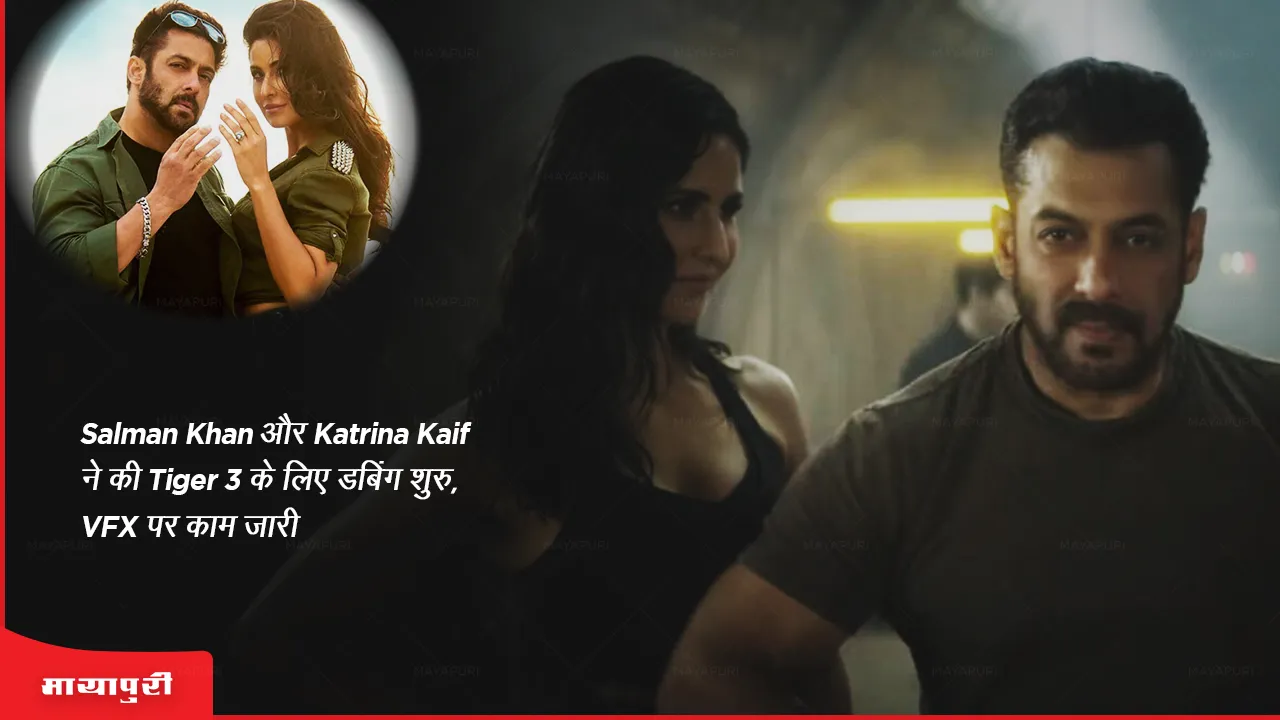 salman khan katrina kaif tiger 3
