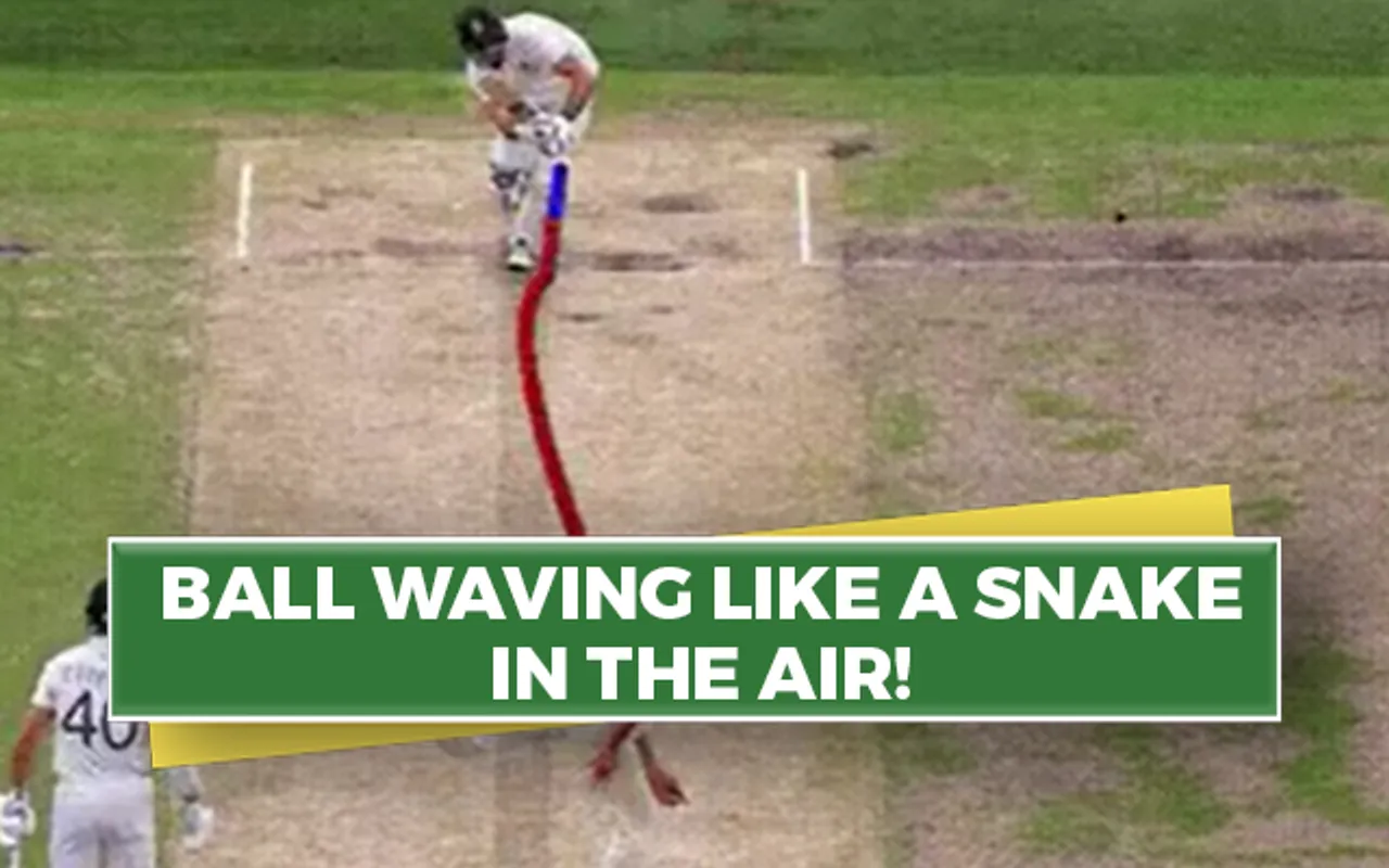 Mitchell Starc (Source - Twitter)