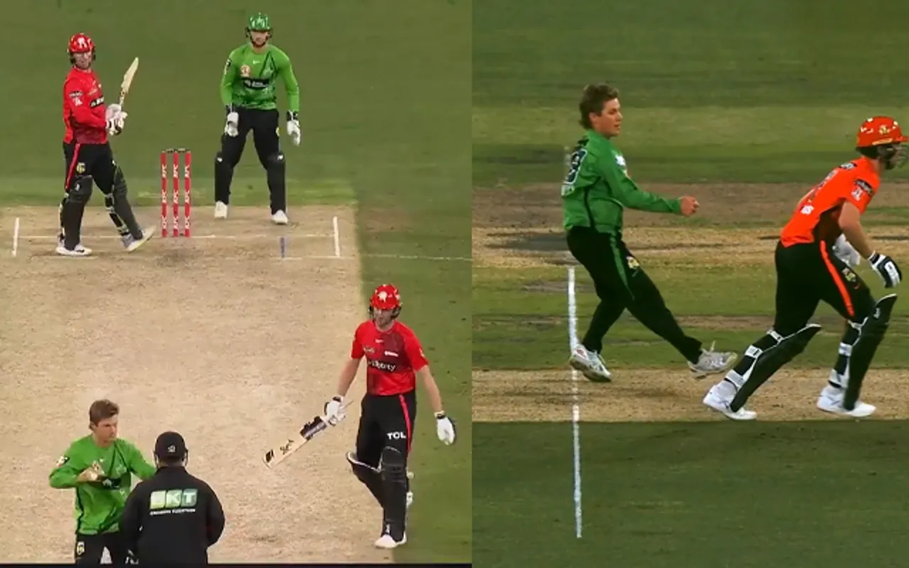 Adam Zampa (Source - Twitter)
