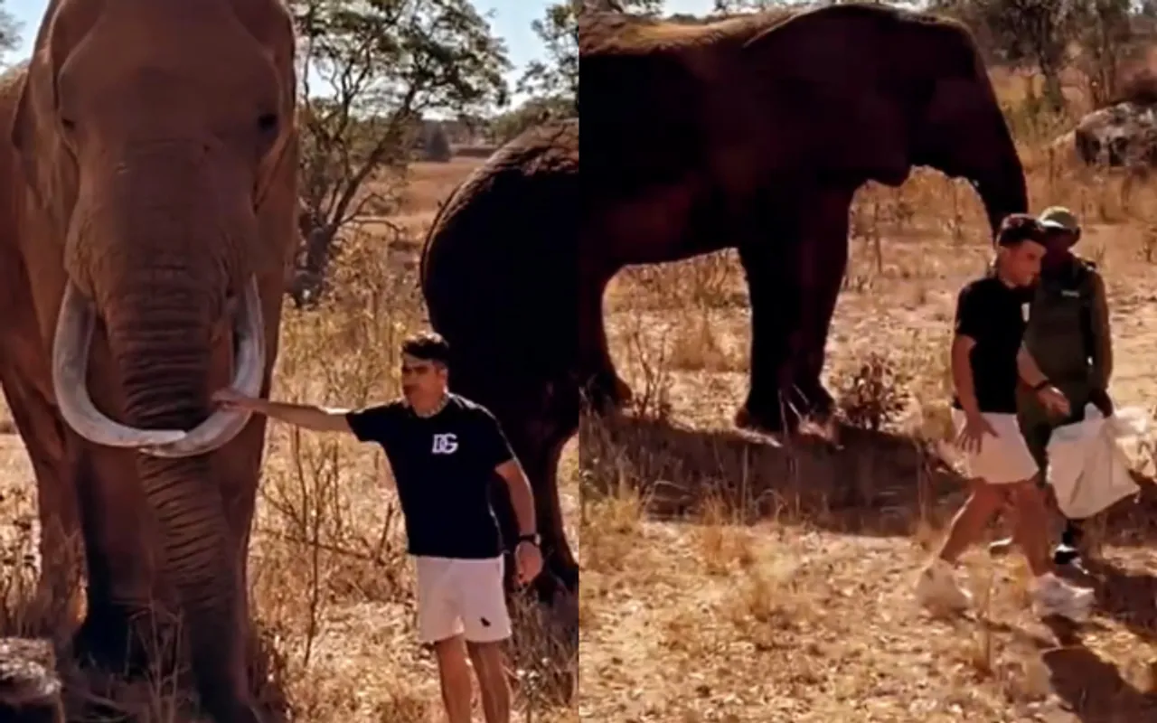 WATCH: Rahmanullah Gurbaz goes near elephant, runs away after it's slight movement