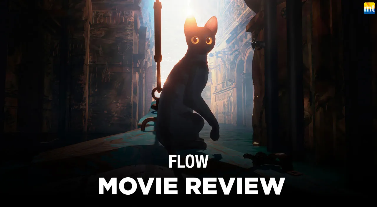 Flow Review