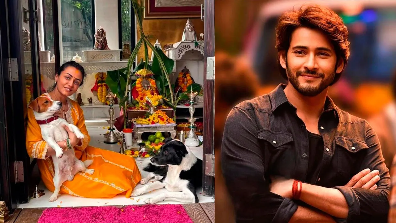 Mahesh Babu Ganpati
