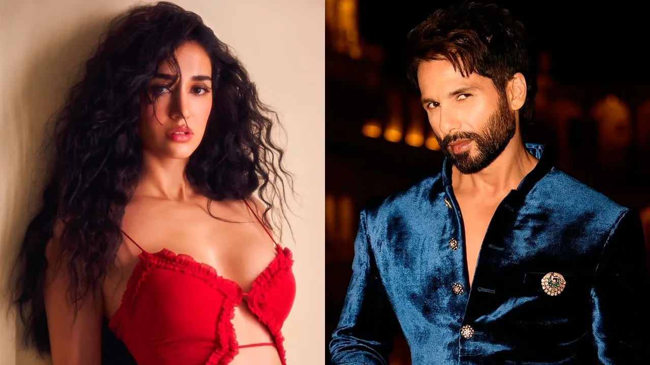 Disha Patani Shahid Kapoor
