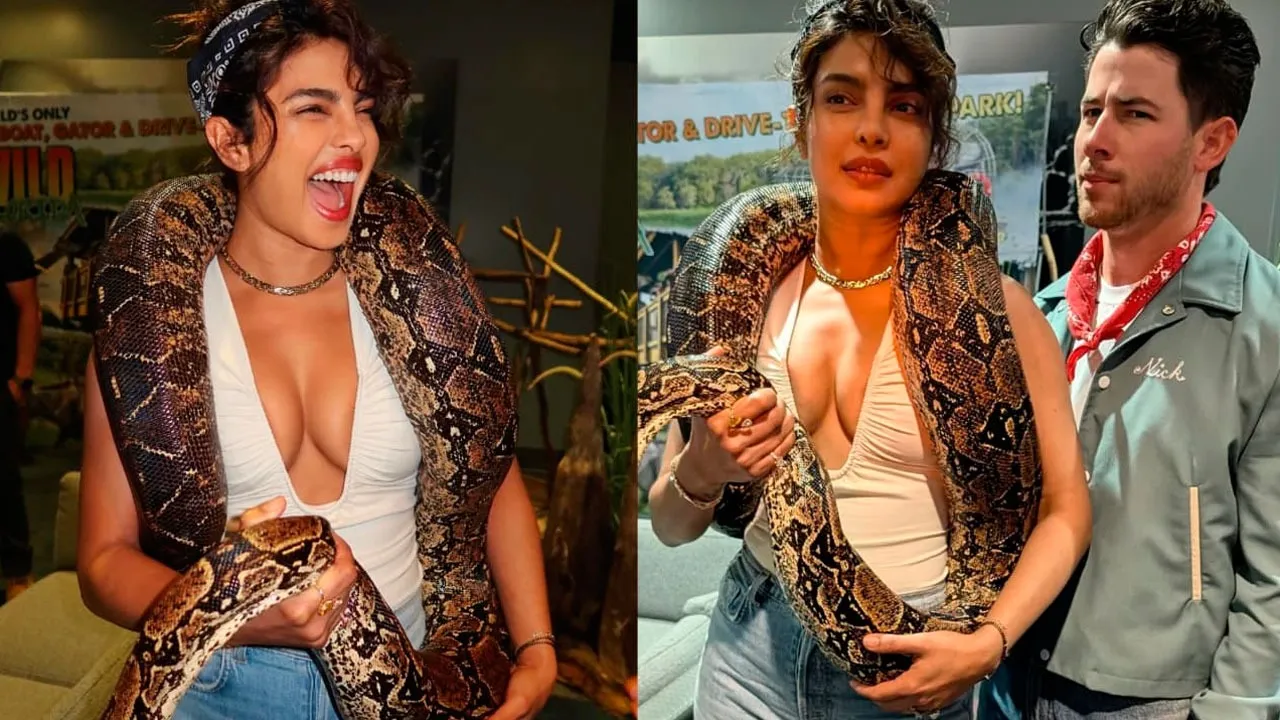 Priyanka Chopra Jonas